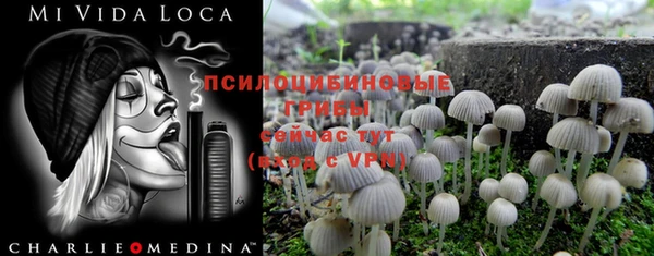 ECSTASY Балахна